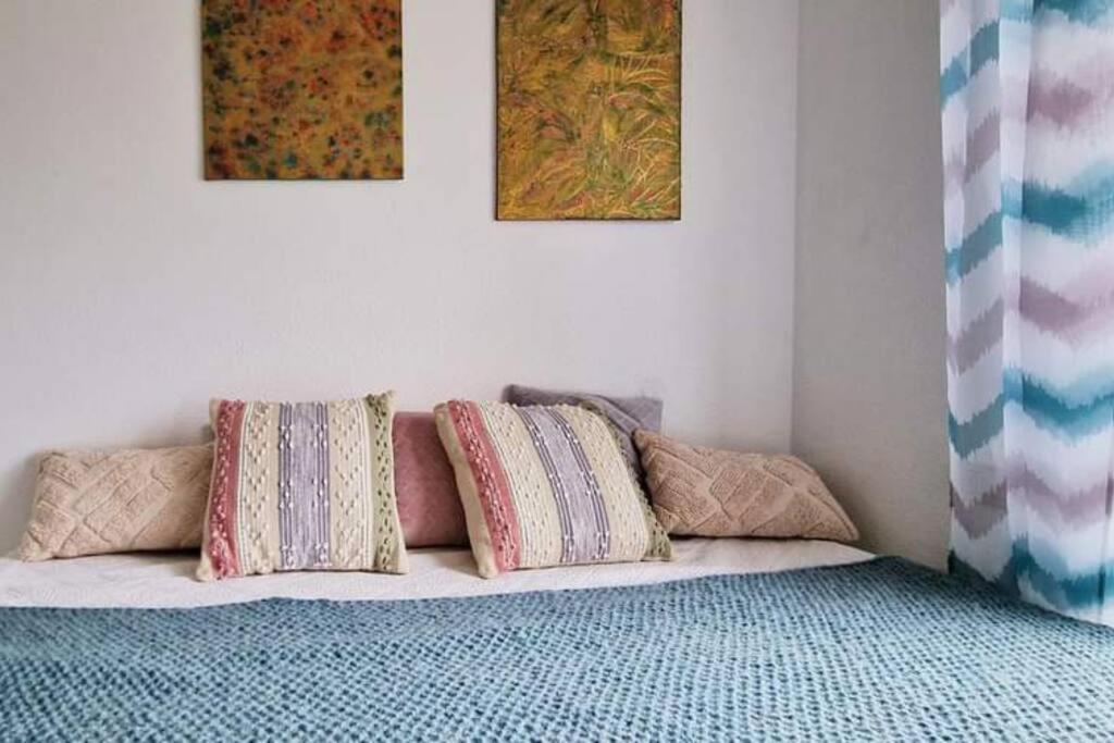 Apartament Palma Torrevieja - Rooftop Tarrace公寓 外观 照片